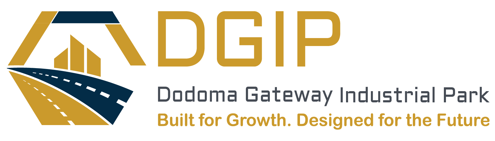 DCIP Logo